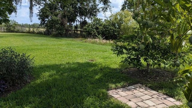 1447 EMERALD HILL WAY, Valrico, FL 33594
