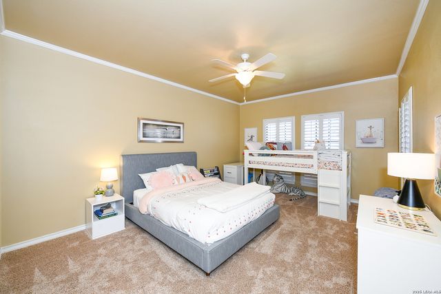 714 Sweetbrush, San Antonio, TX 78258