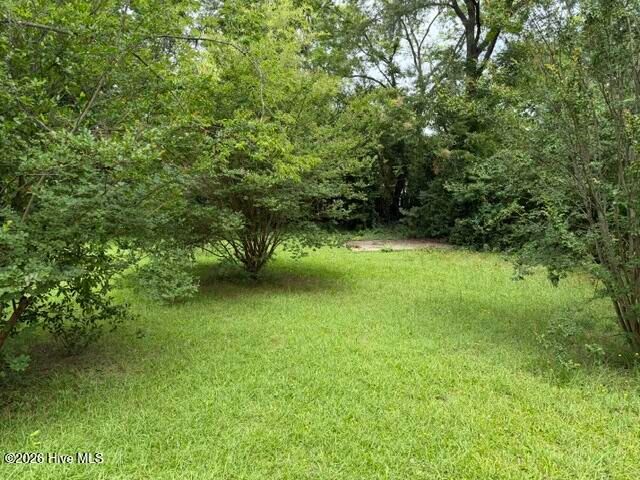 2513 Reese Avenue, Augusta, GA 30906