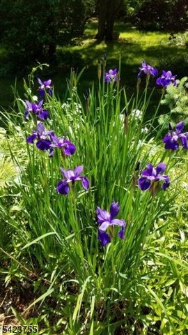 691 Ridgedale Ave, East Hanover Twp., NJ 07936