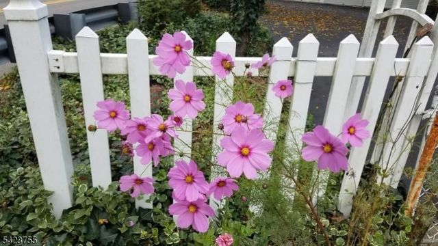 691 Ridgedale Ave, East Hanover Twp., NJ 07936