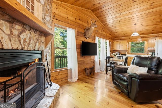 156 Dupont Drive, Blue Ridge, GA 30513