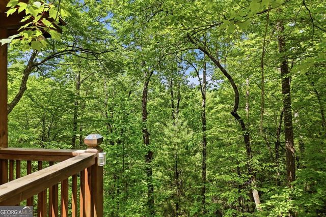 156 Dupont Drive, Blue Ridge, GA 30513