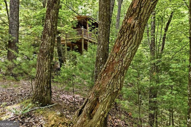 156 Dupont Drive, Blue Ridge, GA 30513