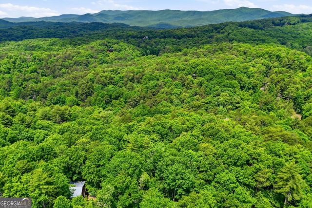 156 Dupont Drive, Blue Ridge, GA 30513
