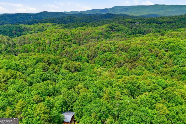 156 Dupont Drive, Blue Ridge, GA 30513