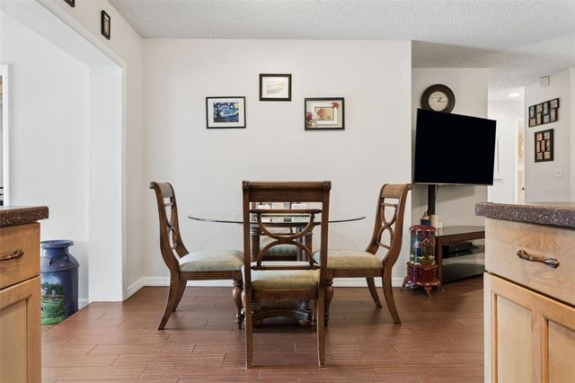 13837 PATHFINDER DRIVE, Tampa, FL 33625