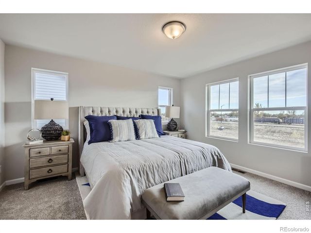 927 Nettle Lane, Fort Collins, CO 80524