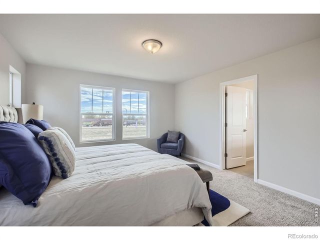 927 Nettle Lane, Fort Collins, CO 80524