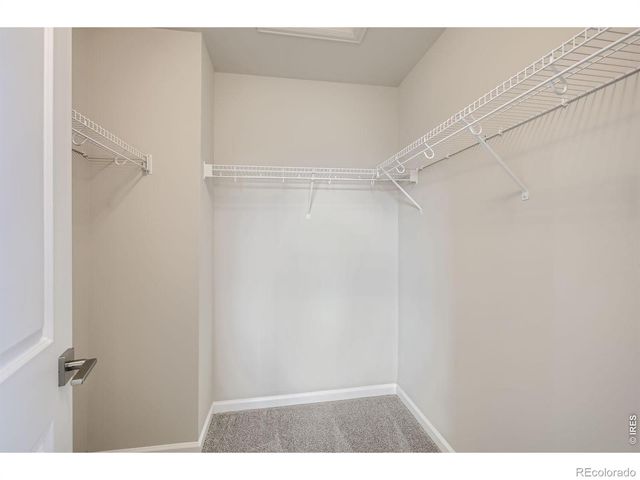 927 Nettle Lane, Fort Collins, CO 80524