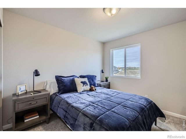 927 Nettle Lane, Fort Collins, CO 80524