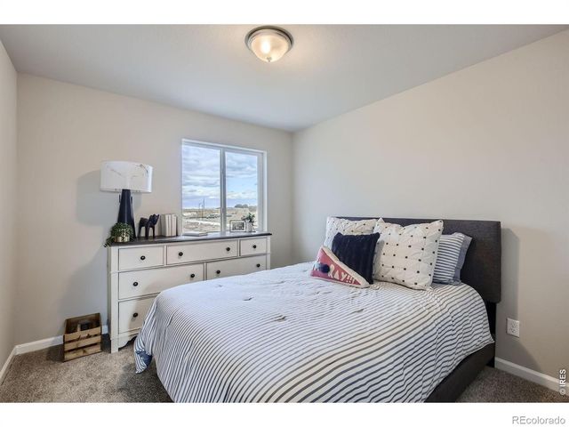 927 Nettle Lane, Fort Collins, CO 80524