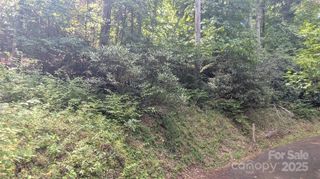 00 Chestnut Walk Drive 3, Waynesville, NC 28786