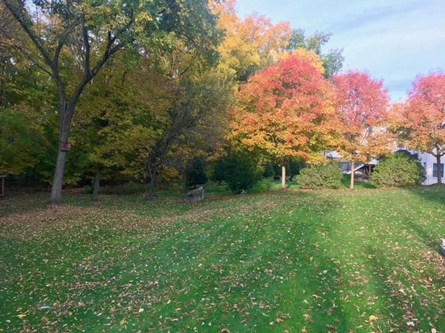 113 Allen Drive, Milton, VT 05468