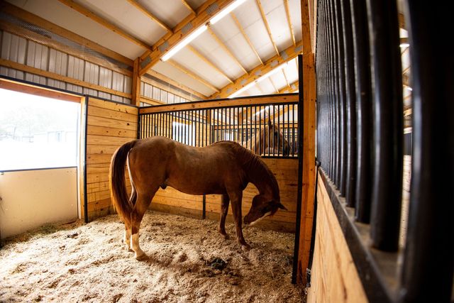 370 VZ County Road 4134, Canton, TX 75103