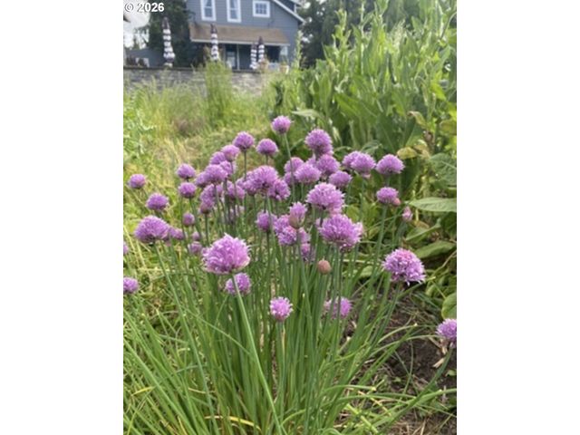 24305 Ne HIGHWAY 240, Newberg, OR 97132
