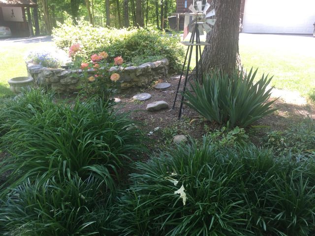 420 Long Hollow Road, Rock Spring, GA 30739