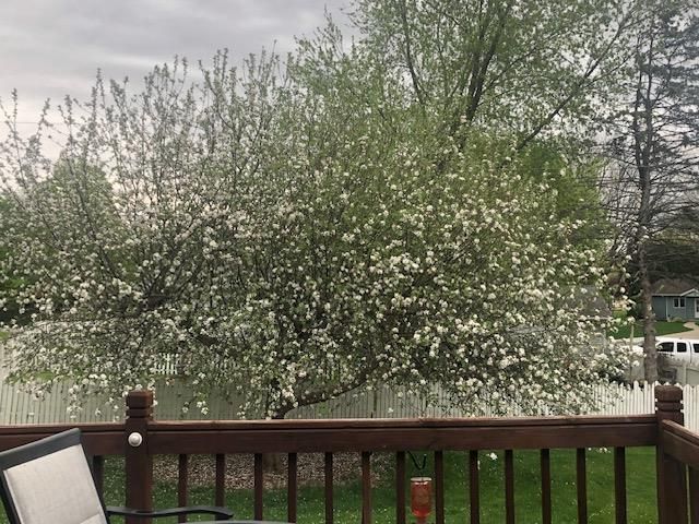 3334 Swinburne Drive, Mcfarland, WI 53558