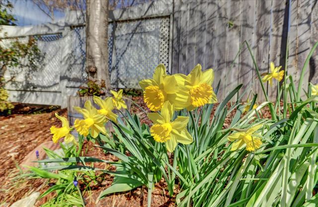 195 Cypress Hill Dr, Grass Valley, CA 95945