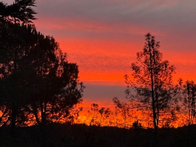 195 Cypress Hill Dr, Grass Valley, CA 95945