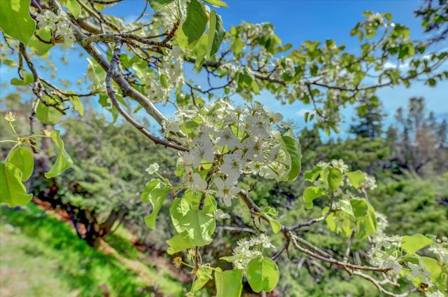 195 Cypress Hill Dr, Grass Valley, CA 95945