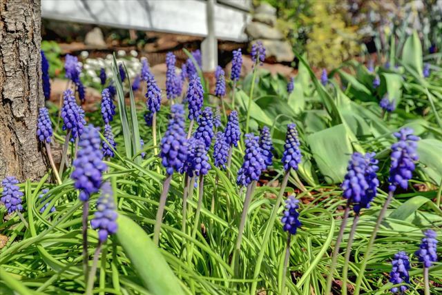 195 Cypress Hill Dr, Grass Valley, CA 95945