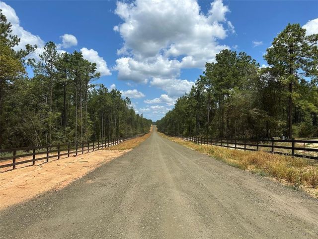 Tract 7A Timberland Branch Drive, Woodville, TX 75979