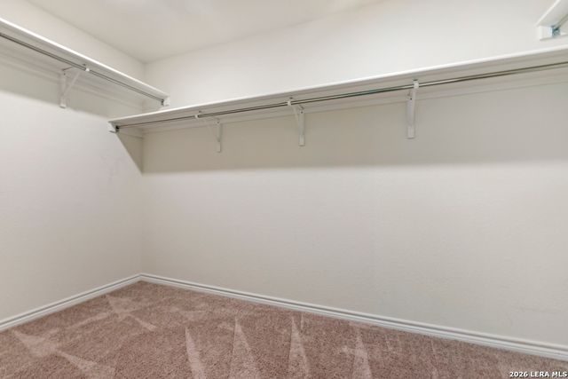 11766 Black Rose, San Antonio, TX 78245