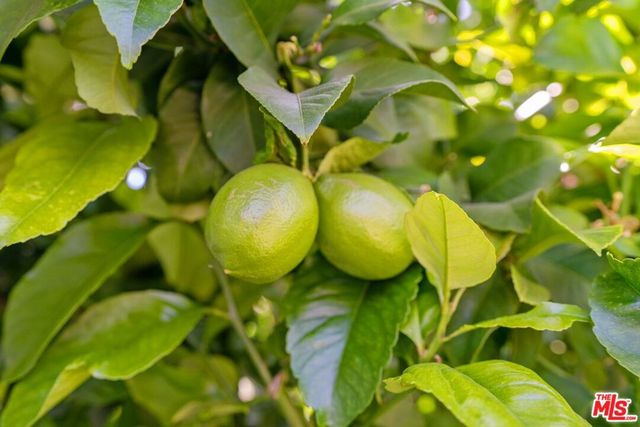 23777 Mulholland Highway 190, Calabasas, CA 91302