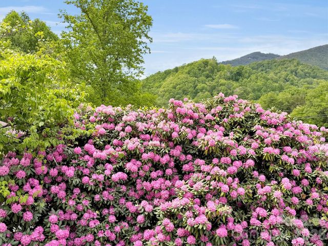 3575 Dellwood Road, Waynesville, NC 28786