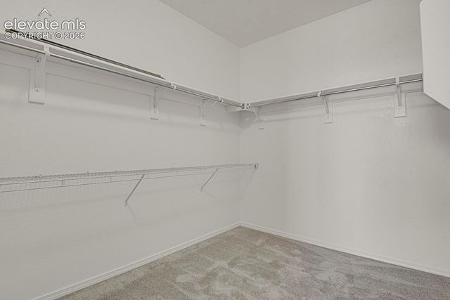 4895 Wells Branch Heights 306, Colorado Springs, CO 80923