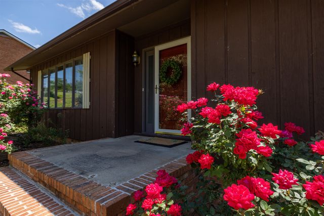 9510 SHENANDOAH DR, New Market, VA 22844