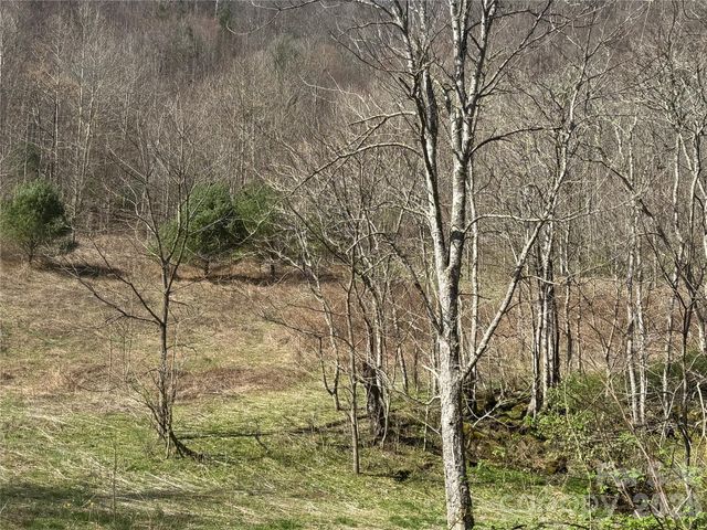 11288 Big Laurel Road, Marshall, NC 28753