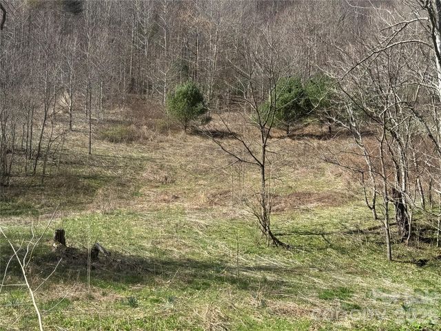 11288 Big Laurel Road, Marshall, NC 28753