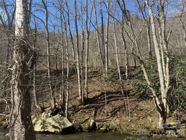 11288 Big Laurel Road, Marshall, NC 28753