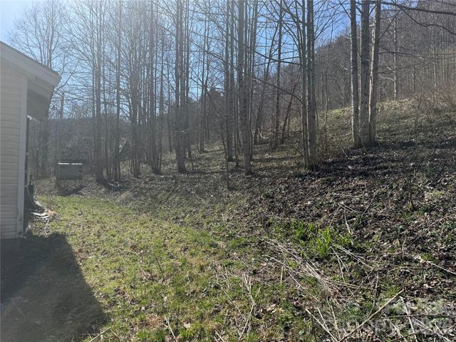 11288 Big Laurel Road, Marshall, NC 28753