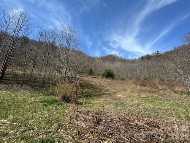 11288 Big Laurel Road, Marshall, NC 28753