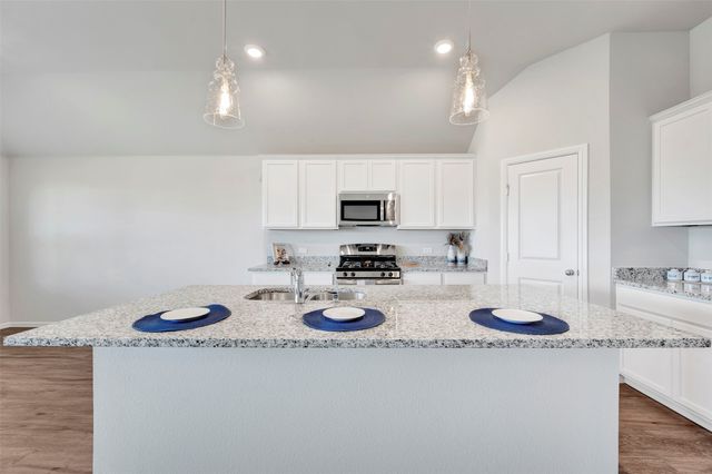 5003 Bee Balm Lane, Sanger, TX 76266