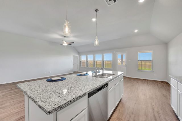 5003 Bee Balm Lane, Sanger, TX 76266