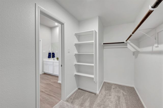 5003 Bee Balm Lane, Sanger, TX 76266