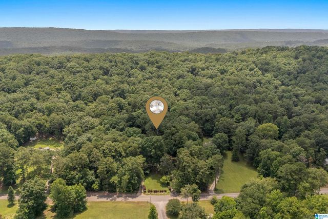 1800 REX LAKE ROAD, Leeds, AL 35094