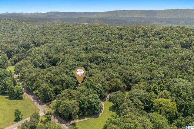 1800 REX LAKE ROAD, Leeds, AL 35094