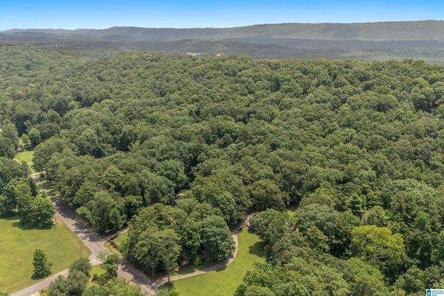 1800 REX LAKE ROAD, Leeds, AL 35094