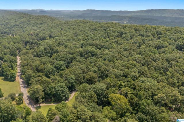 1800 REX LAKE ROAD, Leeds, AL 35094