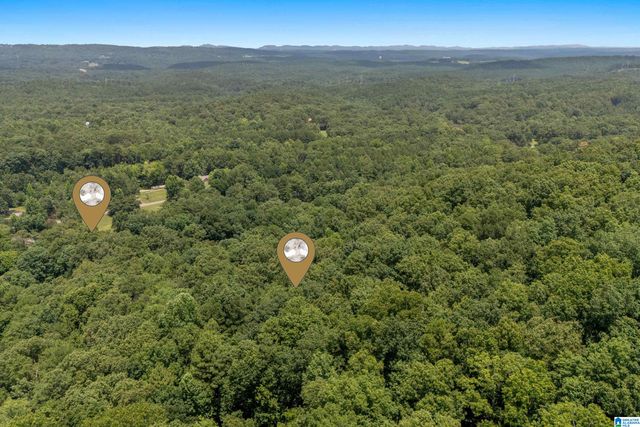 1800 REX LAKE ROAD, Leeds, AL 35094