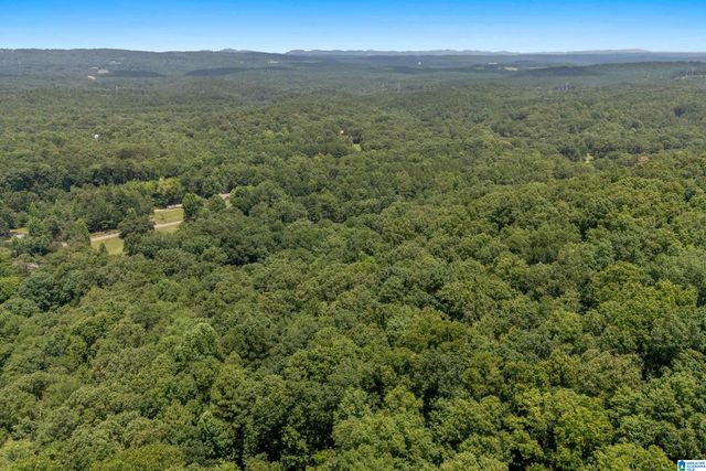 1800 REX LAKE ROAD, Leeds, AL 35094