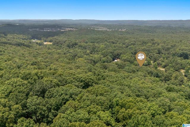 1800 REX LAKE ROAD, Leeds, AL 35094