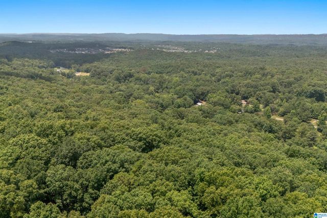 1800 REX LAKE ROAD, Leeds, AL 35094