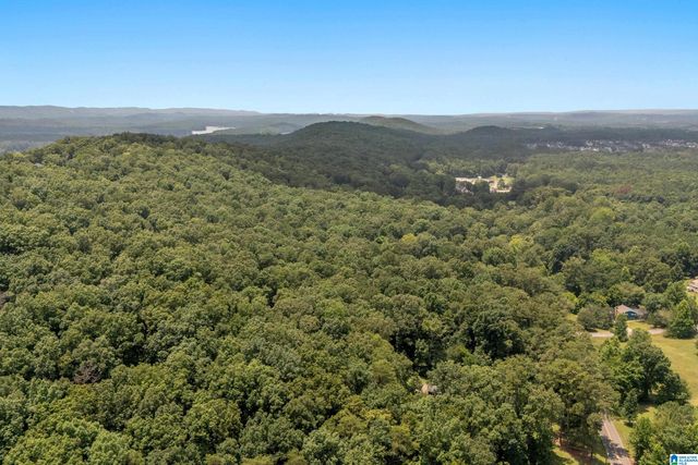 1800 REX LAKE ROAD, Leeds, AL 35094