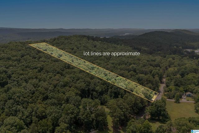 1800 REX LAKE ROAD, Leeds, AL 35094